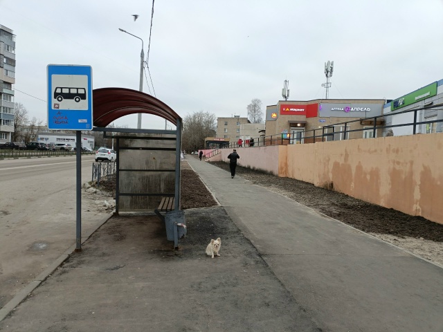 Сидит Около автобусной остановки рядом с Маяком
Добры...