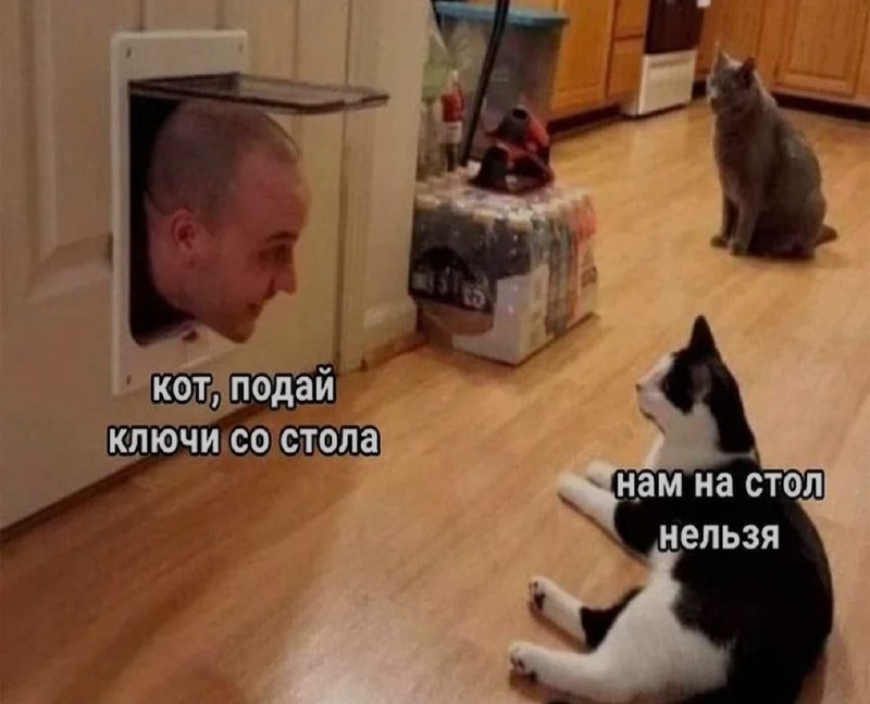 Ночная подборочка
Спать, режим