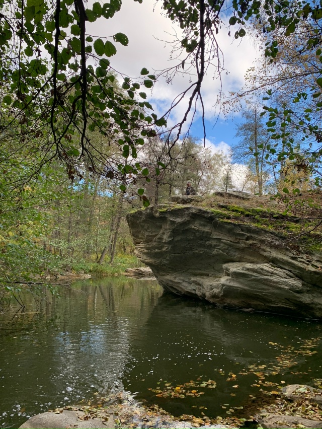 ? В Карагайском бору у реки Губерля — настоящая приро...