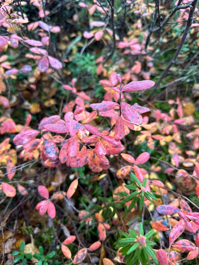 Привет Бузулук! Моя малая родина! Вот такая природа у н?...