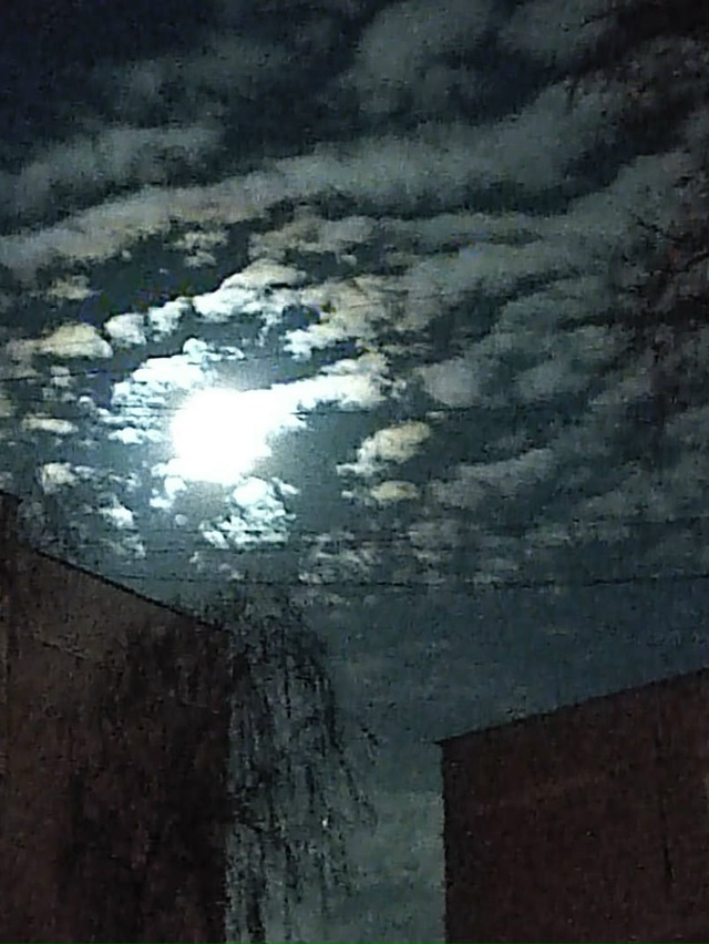 Доброй ночи 💤
📸Ирина Белова