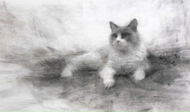 Художник Hsin Yao Tseng.