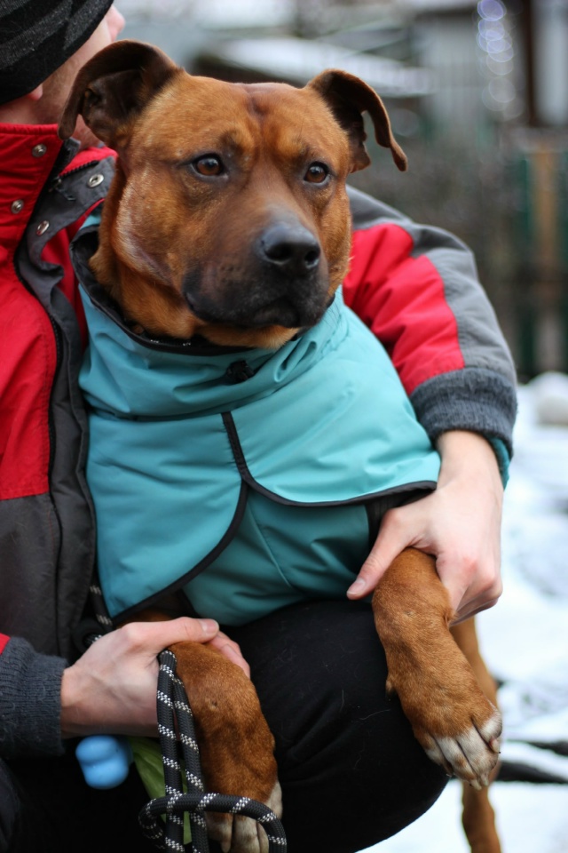Серпухов, Протвино , Москва и вся Московская область.
С...