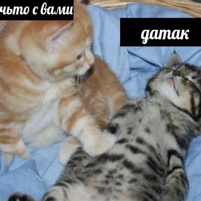 Утренняя подборочка