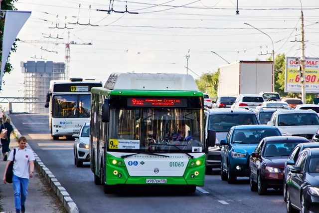 🔥🚍Водителей Воронежских автобусов обязали держать ?...