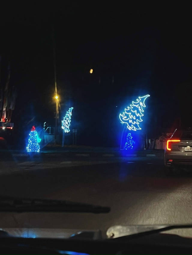 Украшения на кругу..Праздник к нам приходит🌳Елки похо...