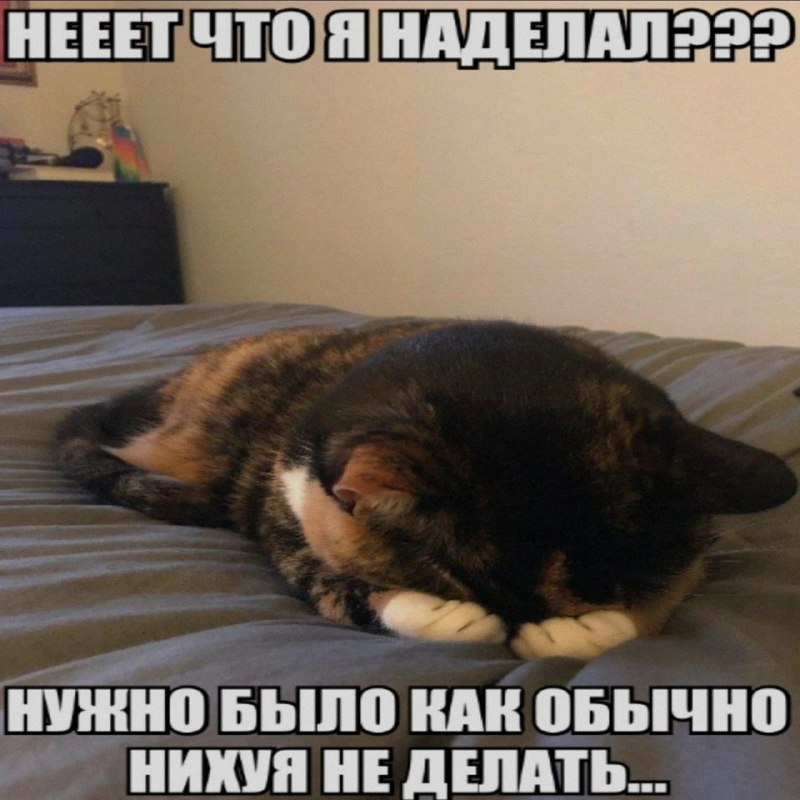 Ночная подборочка
Спать, режим