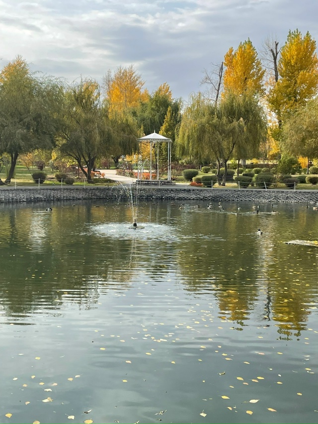 Снова осень 🍂 за окном
📸
