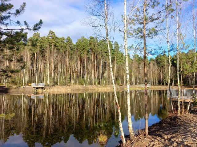 Лесопарк «Стрелки»
📸Ирина Белова