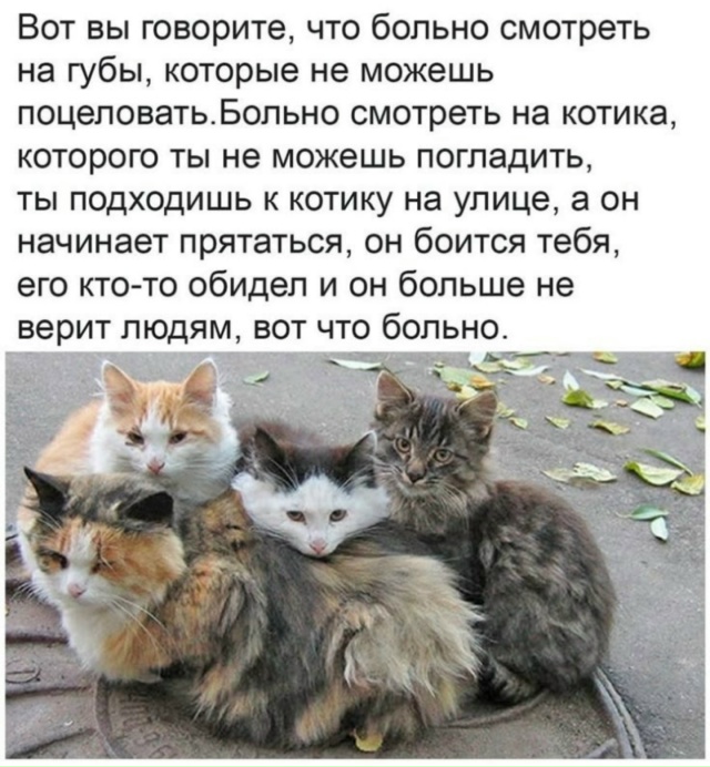 ?Настала осень, ночи уже совсем холодные. Люди, если в?...