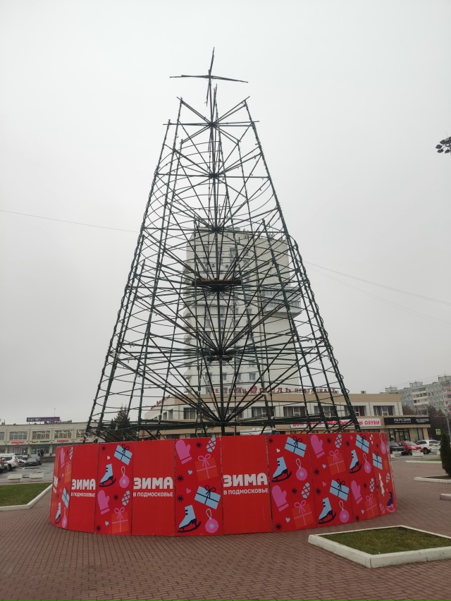 Ёлку устанавливают