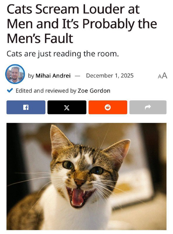 Кошки чаще и громче орут на мужчин, чем на женщин — учёные сравнили, как питомцы встречают хозяек и