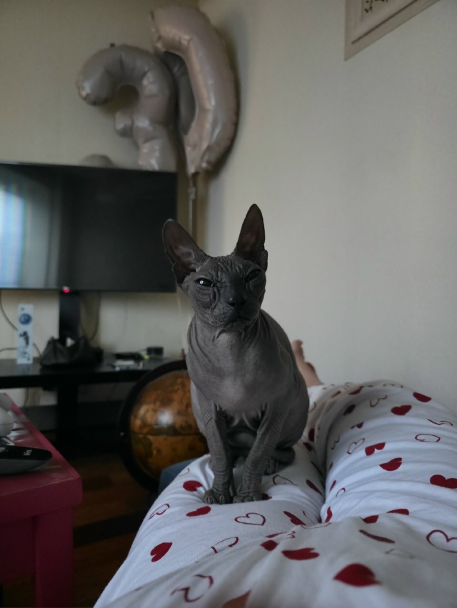 Борис Призреныч 😑