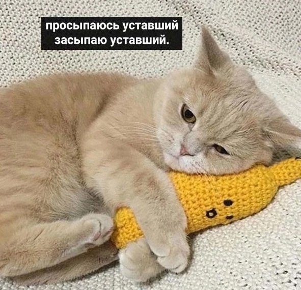 Помогите😅