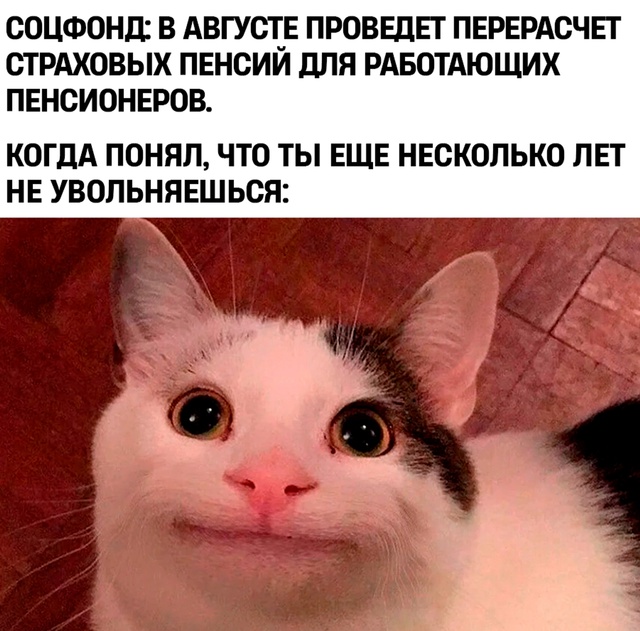 Выжать с государства всё