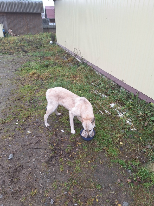 Девчуля никому не нужна!
Оказывается, у неё была горе-«?...