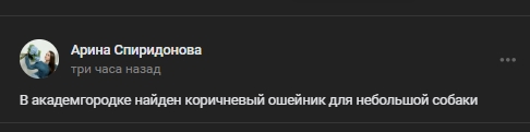 #потеряшки@pdsh51