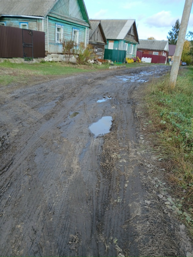 Дороги в деревне Красное Трубчевского Района Брянской...