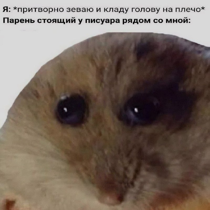 Ночная подборочка
Спать, режим