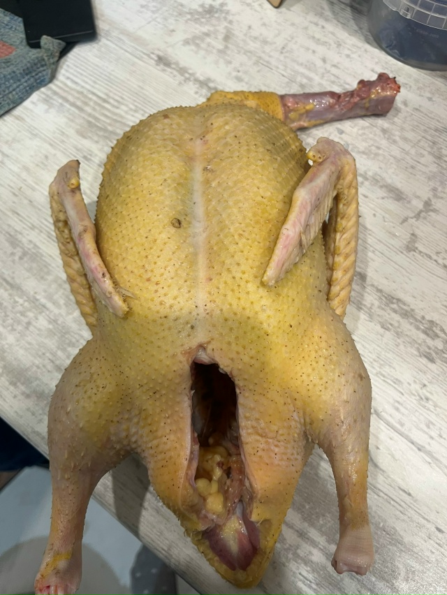 Анон. Продается мясо утки, бройлеры, гуси и их потроха. ...