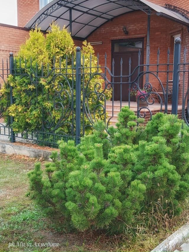 Несмотря на пасмурный октябрьский день четверга. ?
...