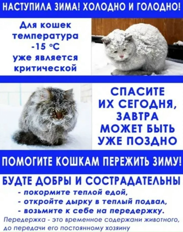 🆘🆘🆘🆘🆘🆘🆘🆘🆘🆘
. НАМ СРОЧНО НУЖНА ВАША ПОМОЩЬ
. ...