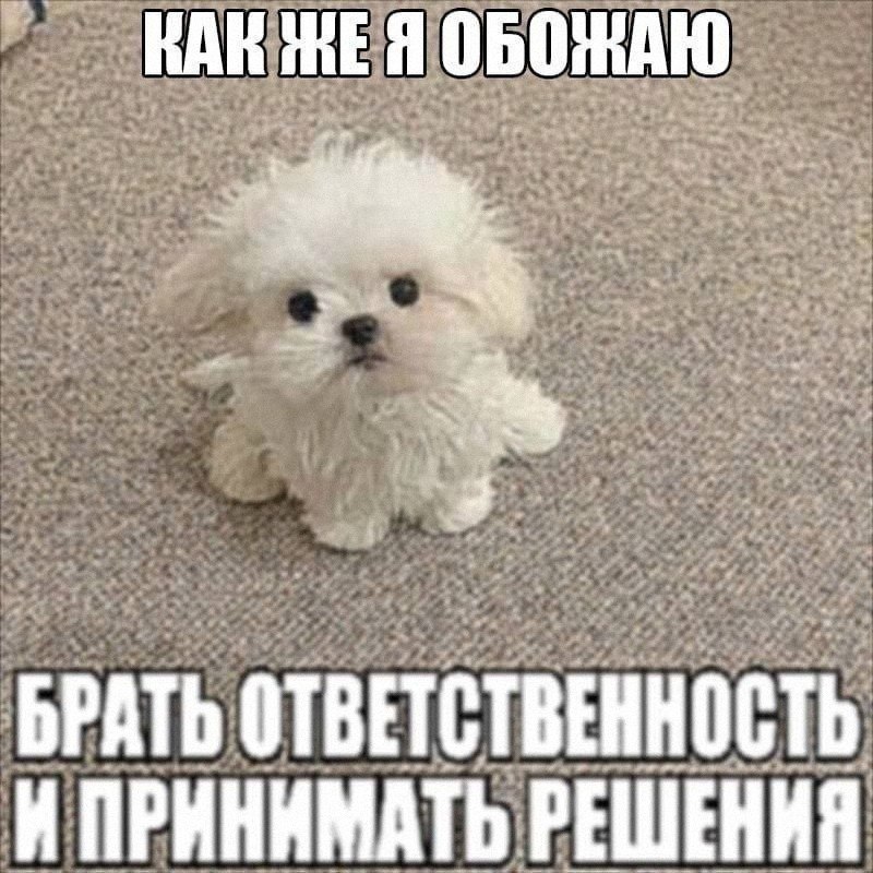 Утренняя подборочка