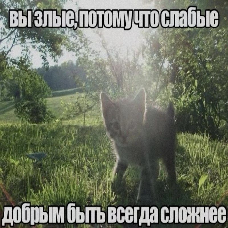 Ночная подборочка
Спать, режим