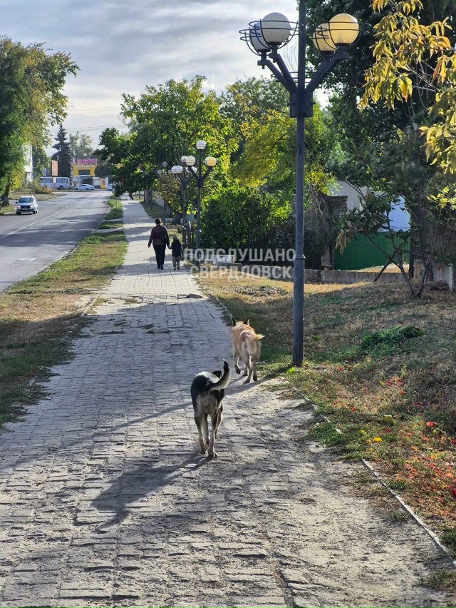 Здравствуйте, возможно такой пост уже был, но добавлю.
...
