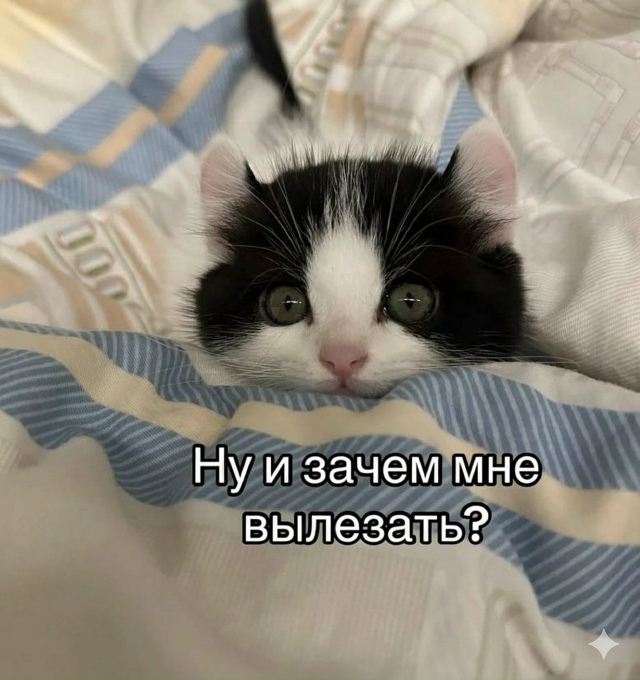 Просто настроение в ноябрьский выходной