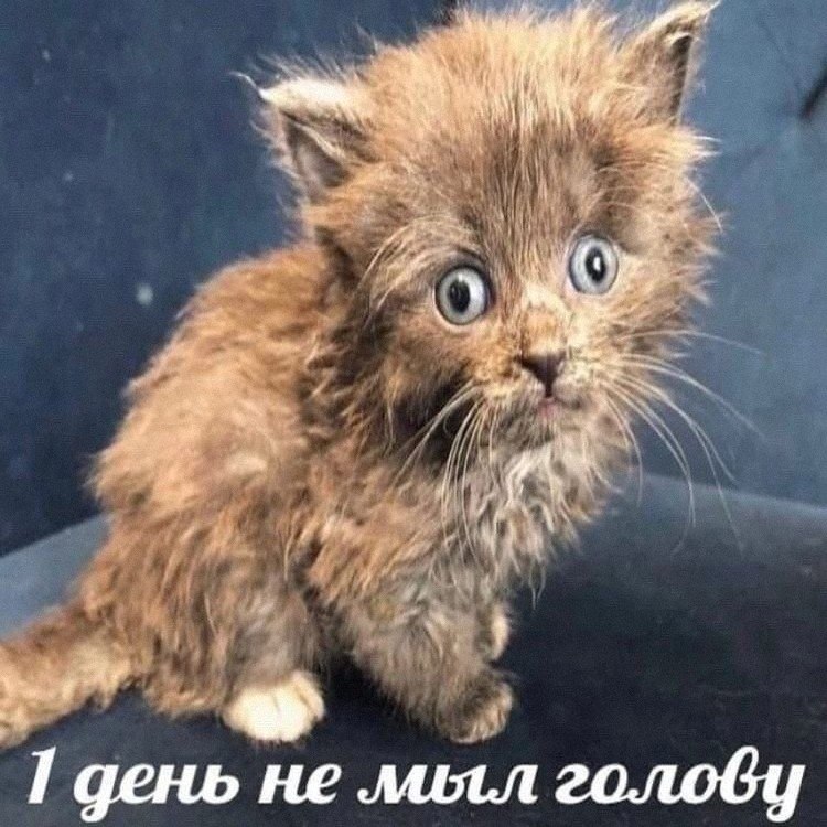Утренняя подборочка