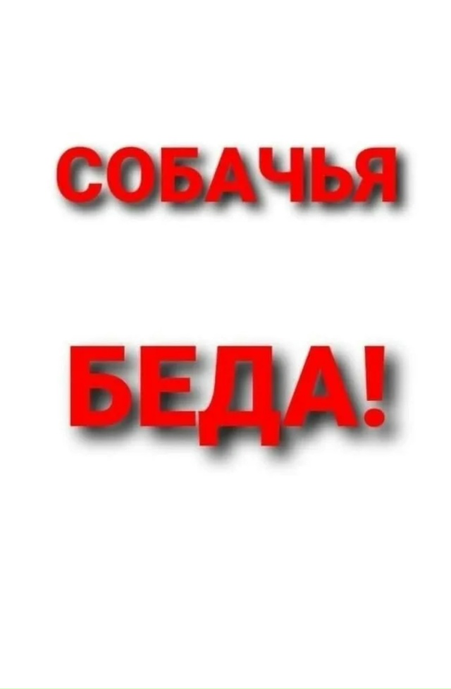 🆘🆘Крохотный коротколапик в беде! 🆘🆘
Выживает в си?...