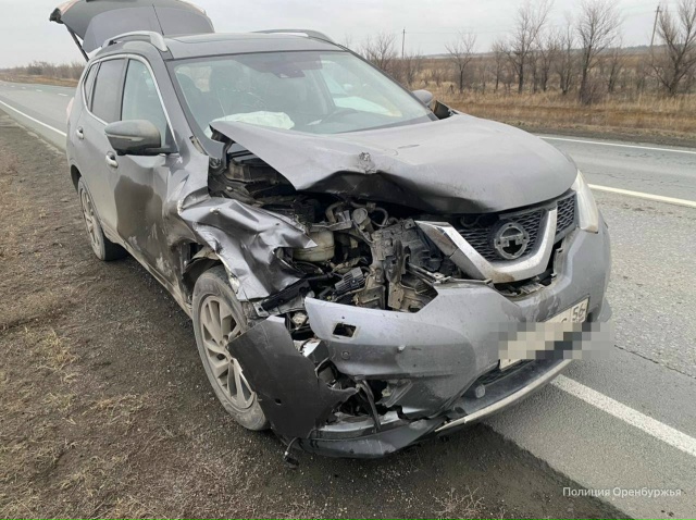 ❗Лося сбили на трассе в Оренбуржье
В Новоорском райо?...