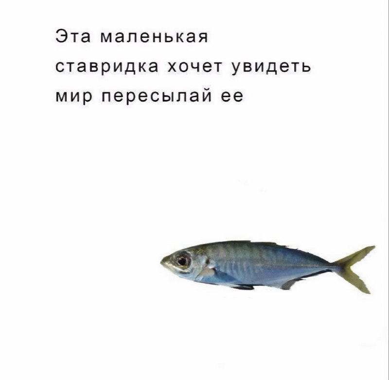 Утренняя подборочка