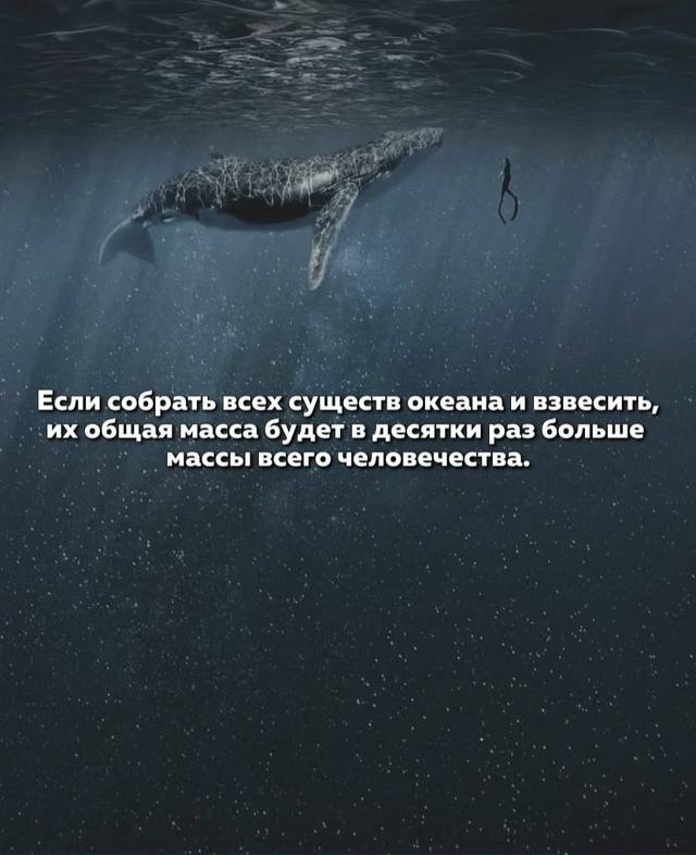 Насколько огромен Тихий океан на самом деле