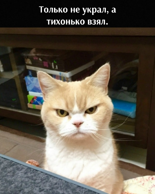 Да, хозяин, всё это сделал я, но с одним Но)))