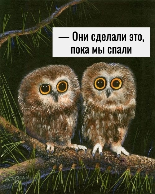 Секрет раскрыт!