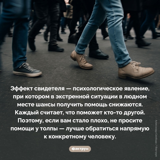 Подборка интересных фактов.
