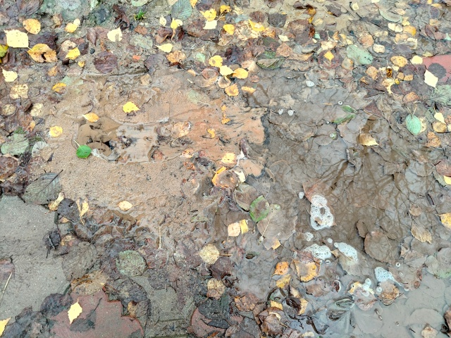 На углу дома 1А (микрорайон 1) уже вторую неделю