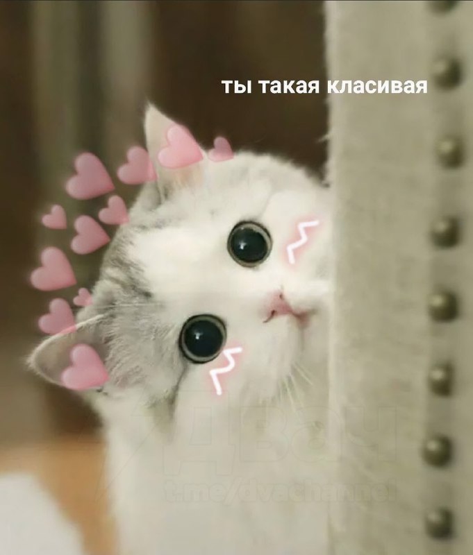 Сегодня отмечается День доброй и ласковой супруги и День красоты и обаяния
Ты точно знаешь, кому от