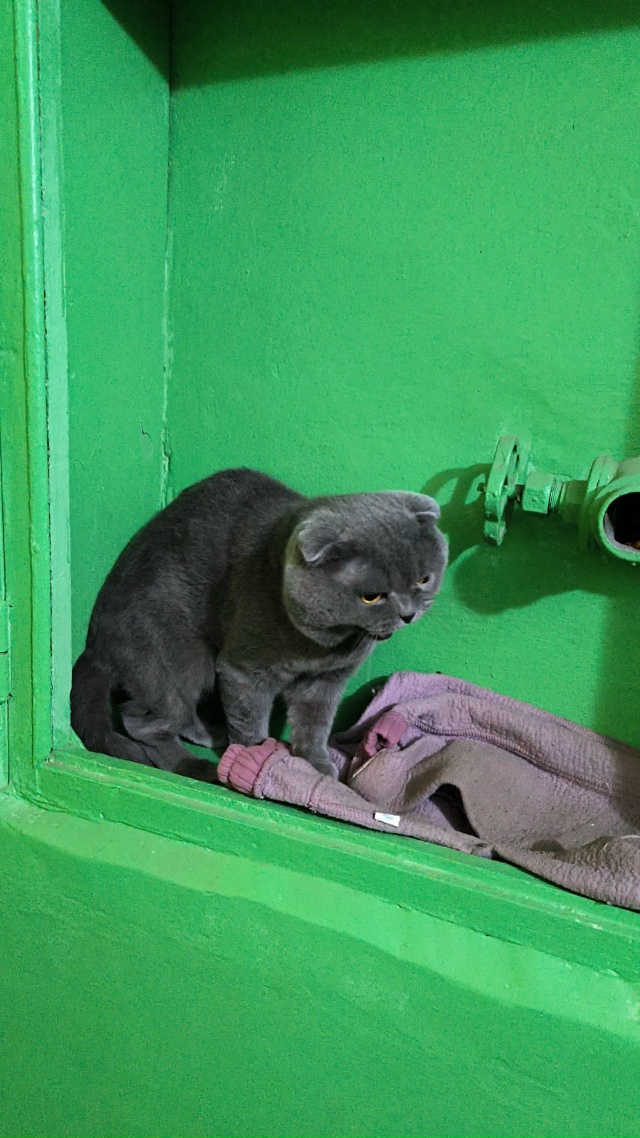 Чья потеряшка? Точнее чей(парень) 50 лет комсомола 10 под?...