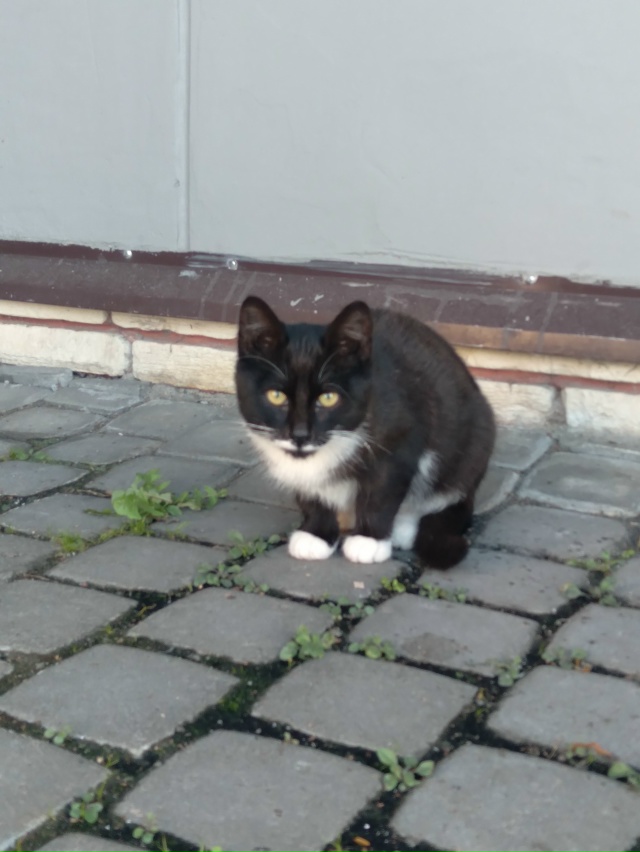 Кировск.
Подарите ребёнку дом и любящую семью 🙏🏻.
Нес...