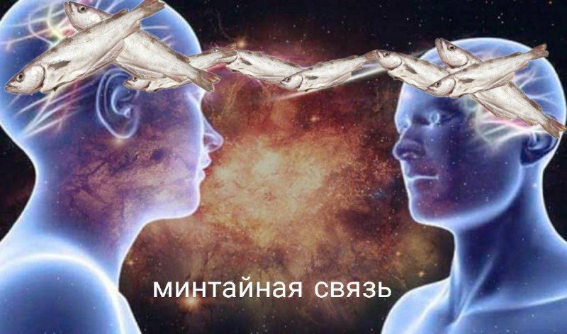 Телепатия существует — учёные доказали связь между мозгами лучших друзей.
Сканирование показало, чт
