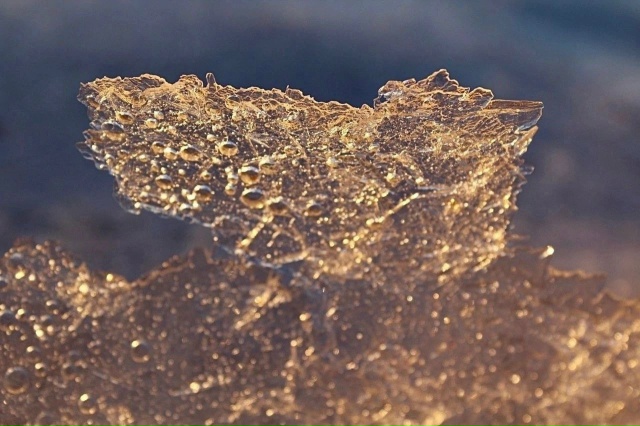 Рисунки и паттерны заполярного ноября в объективе Еле?...