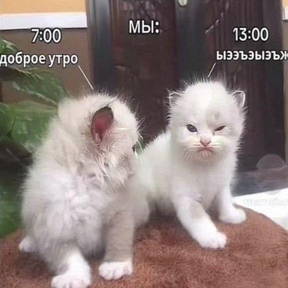 Утренняя подборочка