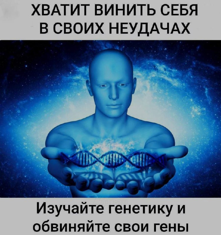 Ночная подборочка
Спать, режим