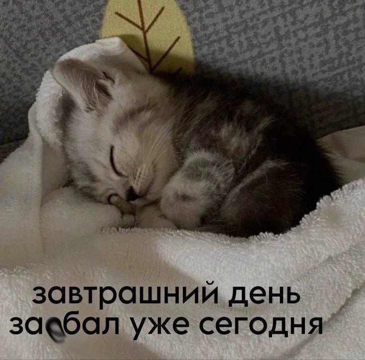 Ночная подборочка
Спать, режим