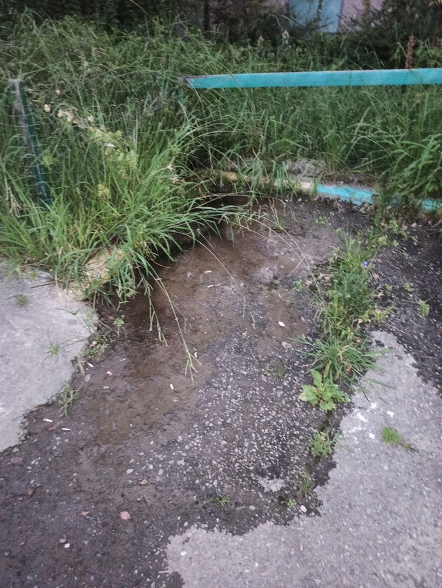 В Сочи парадокс: воды не хватает, а она течет рекой по у?...