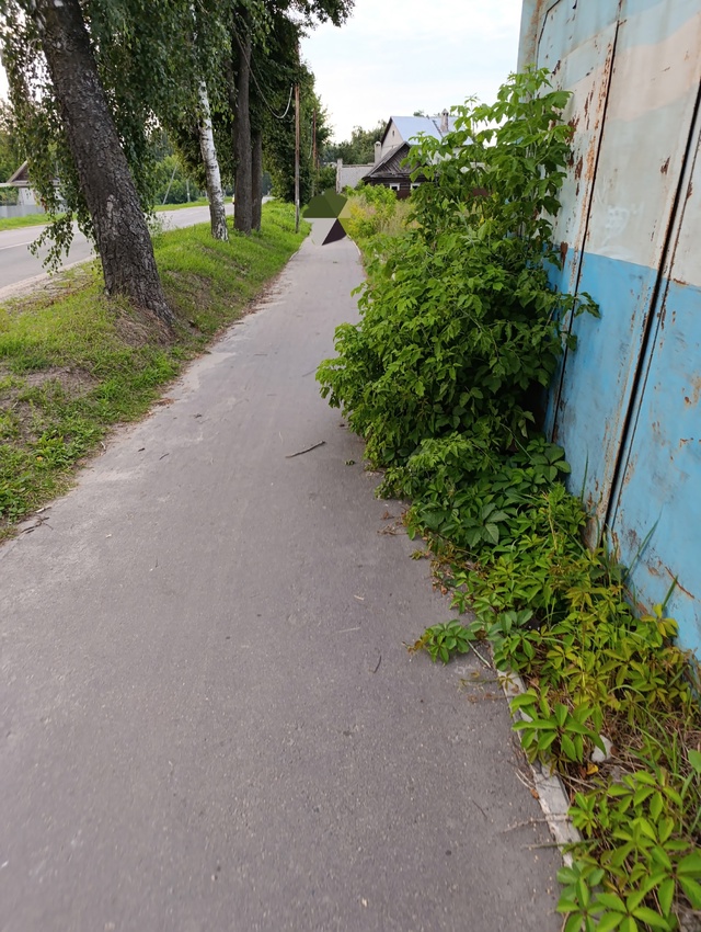 Добрый день. Куда можно обратиться по поводу бурьяна в?...