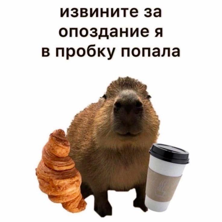 Девочки, сегодня отмечается День опозданий. Его цель — позволить людям, которые часто опаздывают, вз